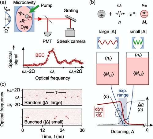 Physical effect also valid in the quantum world