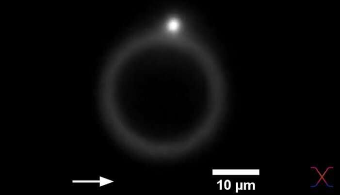 A surprising way to trap a microparticle