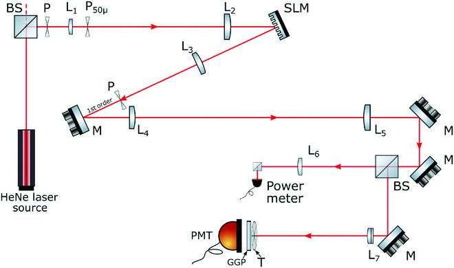 An interdisciplinary solution for enhanced high-resolution imaging in electron and optical microscopy