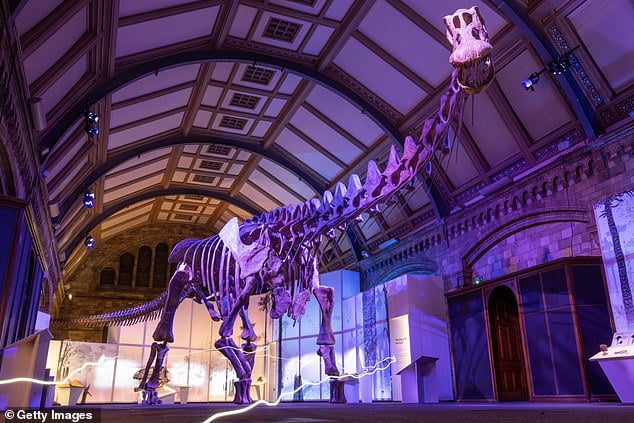 Weighing in at 65 tonnes and stretching 121ft from head to tail, the Natural History Museum's new dinosaur is the heaviest animal ever to walk our planet