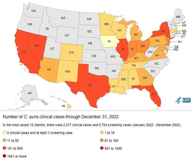 Nevada had the highest number of cases in the US in the past year with 384. Next is California with 359 cases and Florida with 349