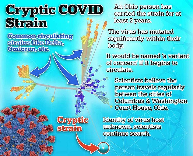 The man's Covid strain has evolved significantly differently than existing strains such as the Omicron and Delta variants that the population is familiar with. Pictured: A viral 'tree' the shows how different versions of Covid have evolved. Clustered in the center (blue arrow) are familiar variants that have circulated across the world. Within these strains, there are thousands, if not millions, of mutations differentiating them. The unknown Ohio person's strain (red line) has mutated totally separately, though. It's viral makeup is greatly different than that of other versions of the virus, and its evolutionary chain is linear — without thousands of branching paths. This indicates that the strain is only circulating in a single person.