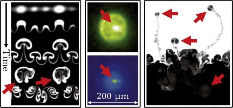 Demystifying vortex rings in nuclear fusion and supernovae