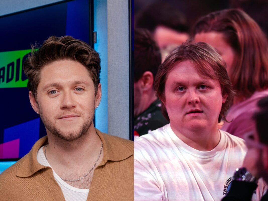 Niall Horan calls Lewis Capaldi a ‘liar’ over documentary claim: ‘He did it for the cameras’