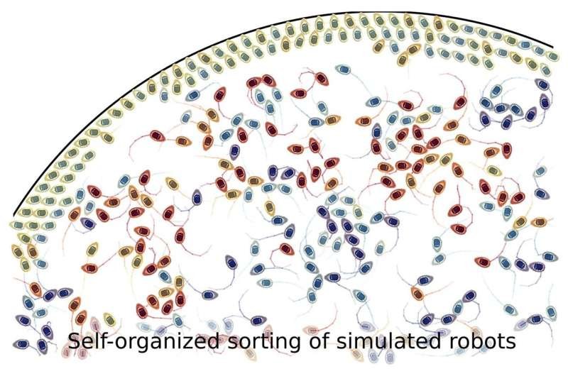 Researchers investigate the swarming behavior of microrobots