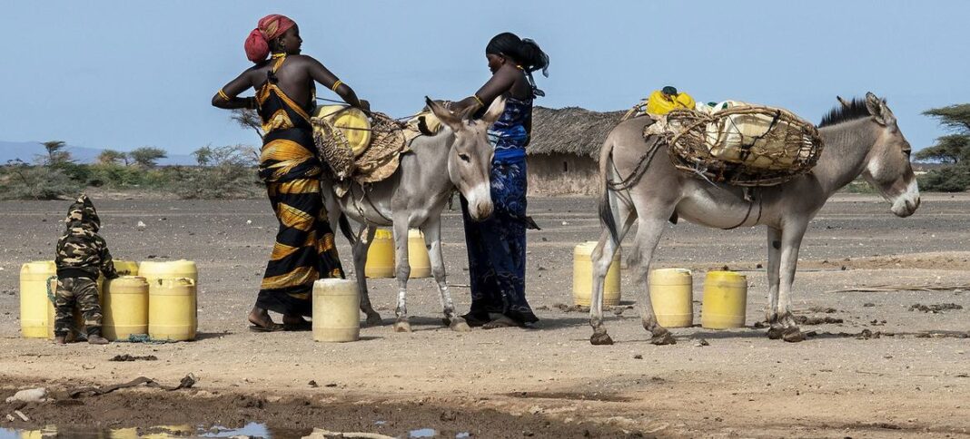 Women collect water in drought-stricken Marsabit in northern Kenya. 