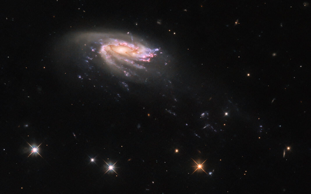 Hubble Observes a Cosmic Sea Creature