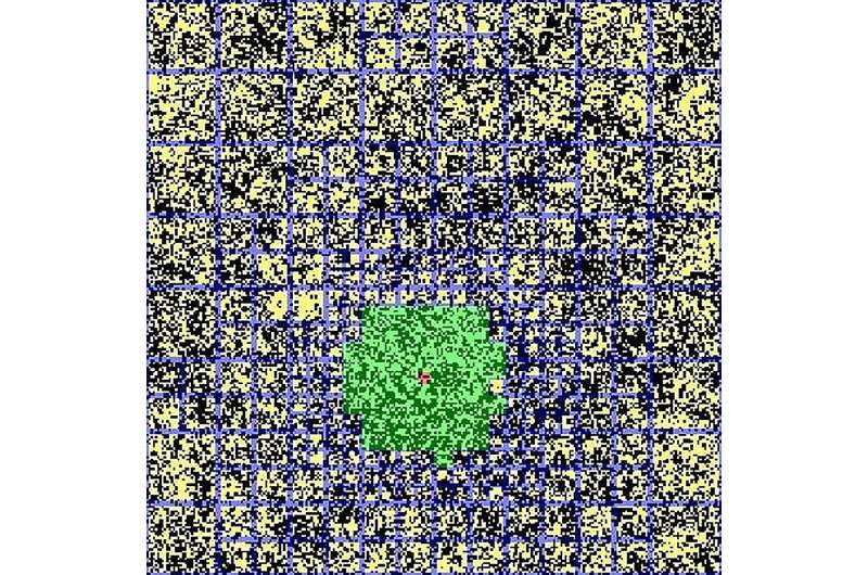 Breakthrough in Monte Carlo computer simulations