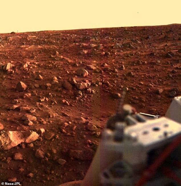 A scientist has claimed that NASA's 1970s Viking mission discovered life on Mars but likely killed it during experiments. Pictured is a shot taken by Viking 1 that landed in 1976