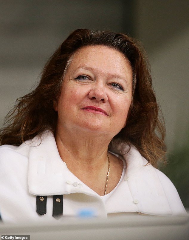 Gina Rinehart has made a surprise intervention to support the Gold Coast's Commonwealth Games bid