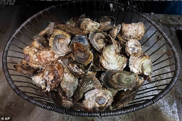 The Connecticut Department of Health confirmed that two deaths occurred in July from Vibrio vulnificus, a bacteria that enters the body when you eat uncooked or undercooked shellfish, but it can also infect open wounds