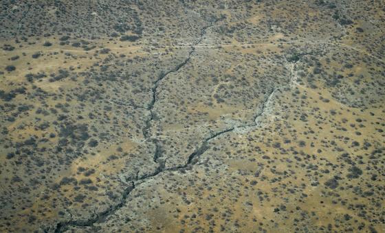 At UN, Horn of Africa nations urge global solidarity and real reform