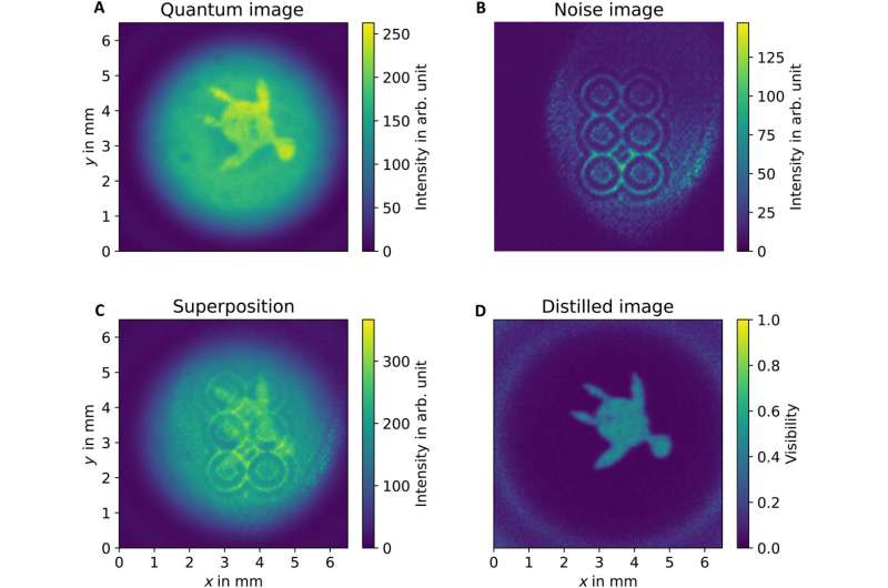 Experimental quantum imaging distillation with undetected light