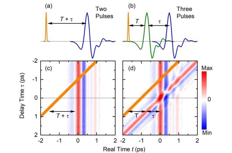 Manipulating collective motions of electrons and solvent molecules in a polar liquid