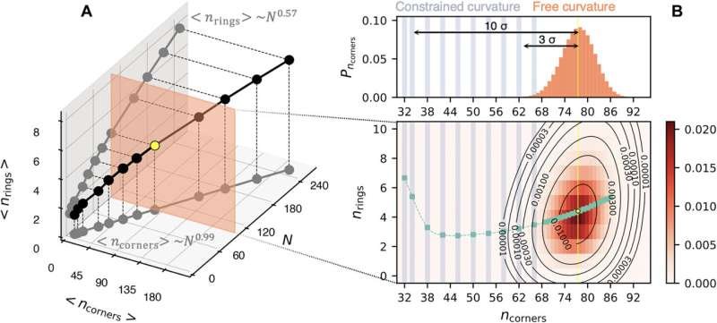 From quantum computing new algorithms for simulating polymeric materials