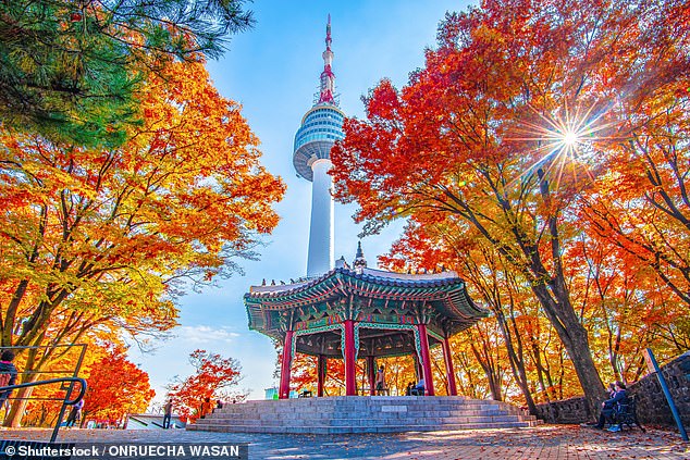 Seoul has rapidly transformed from a 'war-ravaged city to a high-tech hub'