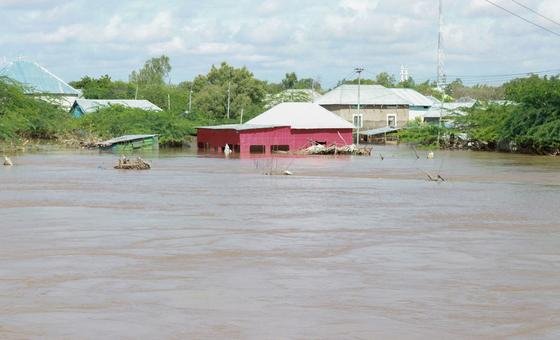 Needs rise as flooding spreads in Somalia