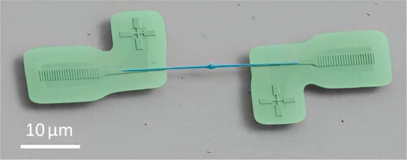 A promising pairing: Scientists demonstrate new combination of materials for quantum science